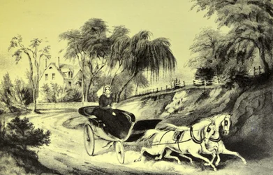La estrella del camino
